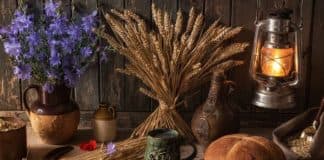 Заговоры сибирской целительницы. Выпуск 49