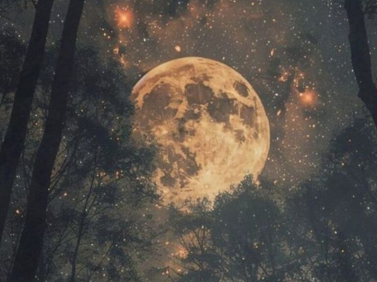 Чистая книга